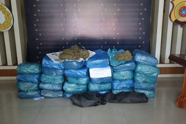 Barang Bukti puluhan kilogram ganja yang dikemas dalam 15 bal plastik warna biru.